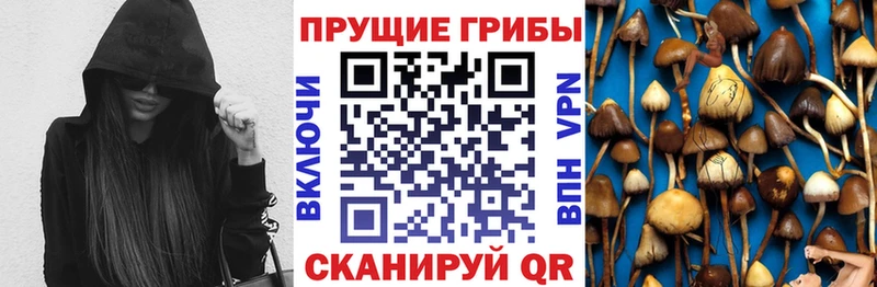 МЕГА как войти  Сыктывкар  Псилоцибиновые грибы мухоморы 